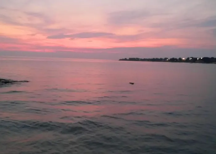 Olea 아파트 우마그