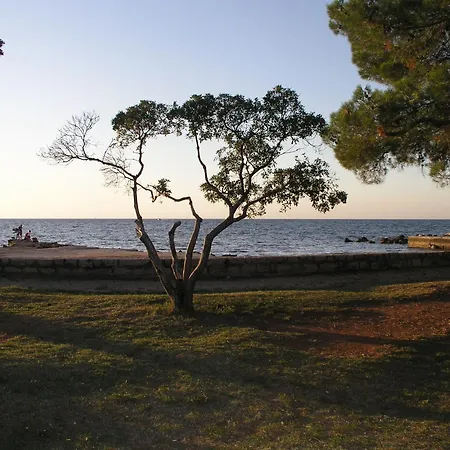 Olea Apartment *