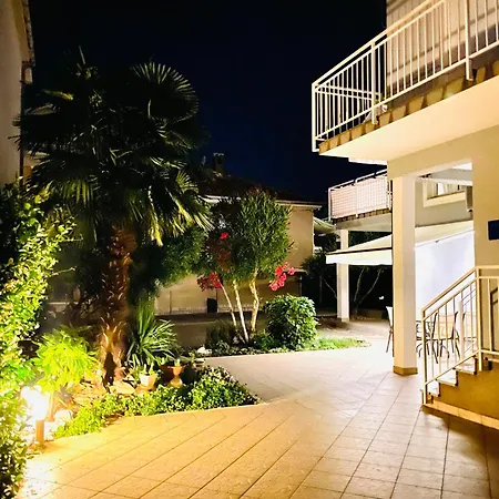Olea * Umag