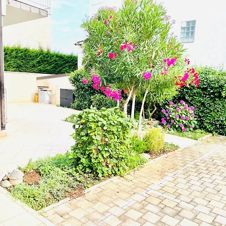 Olea Apartment