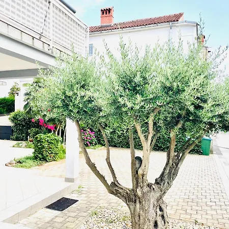 Olea Apartment Umag
