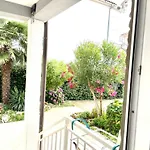 Olea Umag