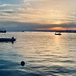 Olea Daire Umag