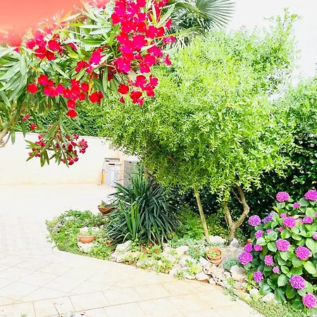 Apartman Olea